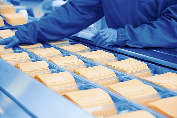 Conveyor belt with cheese slips that are being packaged.